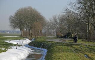 schmelzen Schnee im Niederländisch Landschaft foto