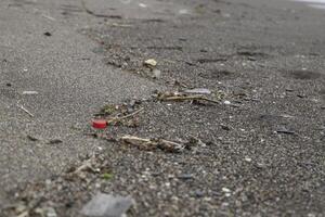 Strand nach Sturm, Achtung zu Marine Leben, Plastik Abfall, Plastik Müll, Plastik, Marine Leben im Achtung, umweltschädlich Menschen foto