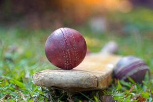 rot Kricket Ball und Kricket Schläger auf Gras. Sanft und selektiv Fokus. foto