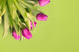 frisch Blume Komposition, Strauß von bi Farbe Tulpen foto