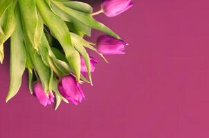 frisch Blume Komposition, Strauß von bi Farbe Tulpen foto
