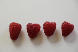 Himbeeren rot Obst foto