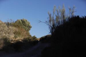 Berg Ansichten im das Almanzora Senke foto