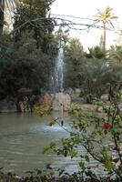 Brunnen im das Park, el Palmenhain, alicante foto