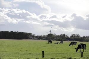 Niederländisch Landschaft, Niederlande foto