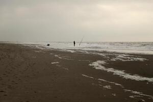 hoch Tide Linie auf das Strand, Trennung zwischen Meer und Strand foto