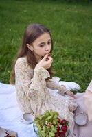 zwei Frauen und ihr Kinder haben ein Picknick auf das Rasen foto