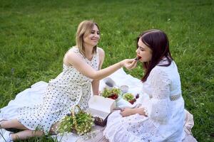 ein Mutter und ihr Teenager Tochter auf ein Picknick im das Garten foto