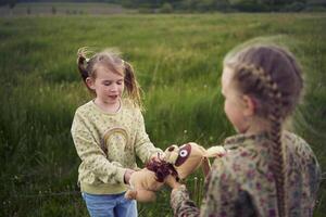 Schwestern Kampf Über ein Spielzeug Hase foto