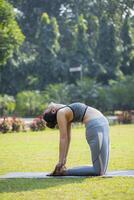 berühmt weiblich Yoga Lehrer durchführen ustrasana foto