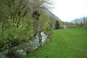 Strom durch das Berge foto