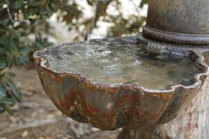 Trinken Wasser Schüssel im das Park foto