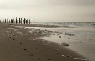 Stelze Dorf beim Meer, Niederlande foto