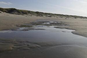 niedrig Tide beim das Strand von sint Maartenszee, das Niederlande foto