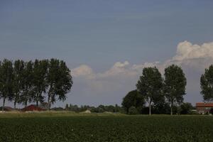 Landschaft im das Niederlande im Juni foto