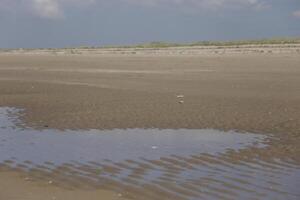 niedrig Tide beim das Strand foto