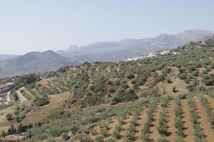 Landschaft im Andalusien, Spanien foto