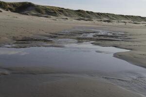 niedrig Tide beim das Strand von sint Maartenszee, das Niederlande foto