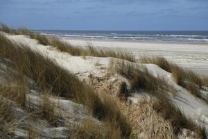 Dünen und Strand beim vlieland, Insel im das Niederlande foto