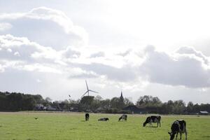 Niederländisch Landschaft, Niederlande foto