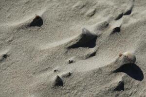 Sand beim das Strand, vlieland, das Niederlande foto