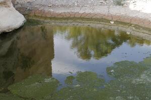 Pools von Wasser wo Dort war ein Fluss foto