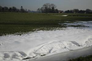 schmelzen Schnee im Niederländisch Landschaft foto