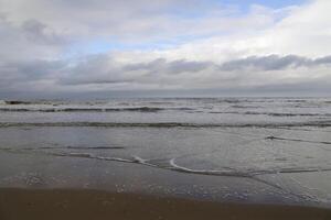 Strand im das Niederlande, Herbst foto