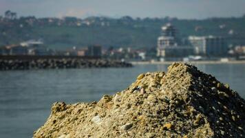 Detail von giulianova im Abruzzen 8 foto