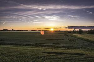 Orange Sonnenuntergang Über üppig Felder im Nord Italien foto