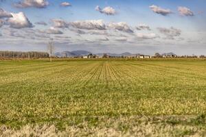 ländlich Panorama von das po Senke foto