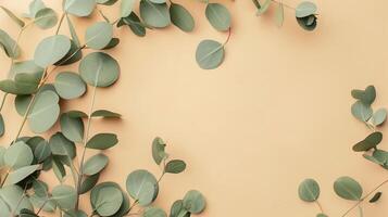 Kopieren Raum auf Eukalyptus Blätter auf das Beige Hintergrund, eben legen, oben Aussicht foto
