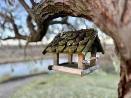 ein hölzern Vogel Feeder suspendiert von ein Ast von Baum in der Nähe von Fluss. selektiv Fokus auf das Teil von das Feeder foto