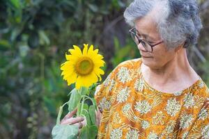 Porträt von ein Alten Frau mit kurz grau Haar lächelnd und Stehen Seite von ein Sonnenblume Blume im ein Garten. Raum zum Text. Konzept von alt Menschen und Entspannung foto