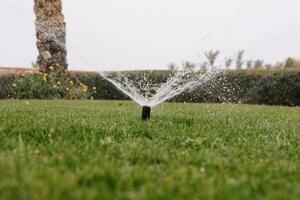 automatisch Sprinkler System Bewässerung das Rasen auf ein Hintergrund von Grün Gras, Nahansicht foto