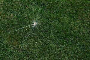 automatisch Sprinkler System Bewässerung das Rasen auf ein Hintergrund von Grün Gras, Nahansicht foto