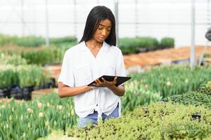 schön jung lächelnd afrikanisch amerikanisch Mädchen, Arbeiter mit Blumen im Gewächshaus. Konzept Arbeit im das Gewächshaus, Blumen. foto