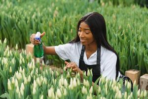 schön jung lächelnd afrikanisch amerikanisch Mädchen, Arbeiter mit Blumen im Gewächshaus. Konzept Arbeit im das Gewächshaus, Blumen. foto