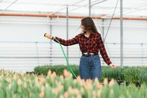 schön jung lächelnd Mädchen, Arbeiter mit Blumen im Gewächshaus. Konzept Arbeit im das Gewächshaus, Blumen. foto