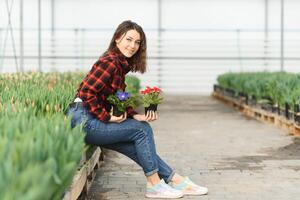 schön jung lächelnd Mädchen, Arbeiter mit Blumen im Gewächshaus. Konzept Arbeit im das Gewächshaus, Blumen. foto