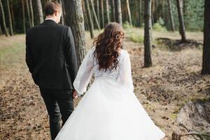 das Braut und Bräutigam gehen durch das Wald Hand im Hand. glücklich Braut und Bräutigam halten Hände und Gehen im Wald auf Hochzeit Tag foto