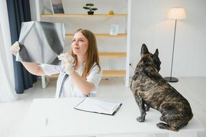 süß Französisch Bulldogge Rasse beim ein Tierarzt Arzt Termin. foto