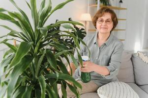 Zuhause Gartenarbeit. glücklich Senior Frau mit Brille Pflege zum das Pflanze. lächelnd Alten Frau Sprühen Aloe vera mit ein sprühen Flasche. Innen- Pflege und Liebe zum Innen- Pflanzen. foto