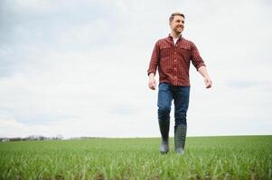 jung Farmer steht im das Grün Feld Überprüfung und warten zum Ernte zu wachsen. foto