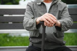 alt grau haarig Mann sich ausruhen auf das Bank im Sommer- Park foto