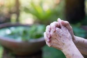 Nahansicht von Hände Senior Frau trat bei zusammen zum beten während Stehen im ein Garten. Fokus auf Hände faltig Haut. Raum zum Text. Konzept von alt Menschen und Religion foto