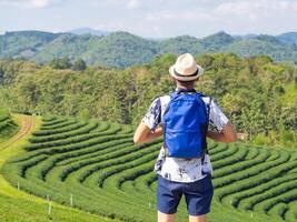 zurück Aussicht von Backpacker jung Mann tragen ein Hut und suchen beim Tee Plantagen und Berge während Stehen im das Tee Pflanze foto