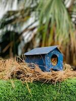 ein Blau Vogel Haus mit ein Loch im das Mitte von es foto