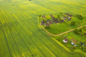 oben Aussicht von ein gesät Grün Feld und ein klein Dorf im Weißrussland. landwirtschaftlich Felder im das Dorf foto