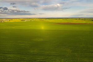 oben Aussicht von das gesät Grün im belarus.landwirtschaft im belarus.textur foto